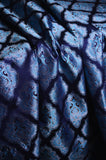 Sapphire Legecy