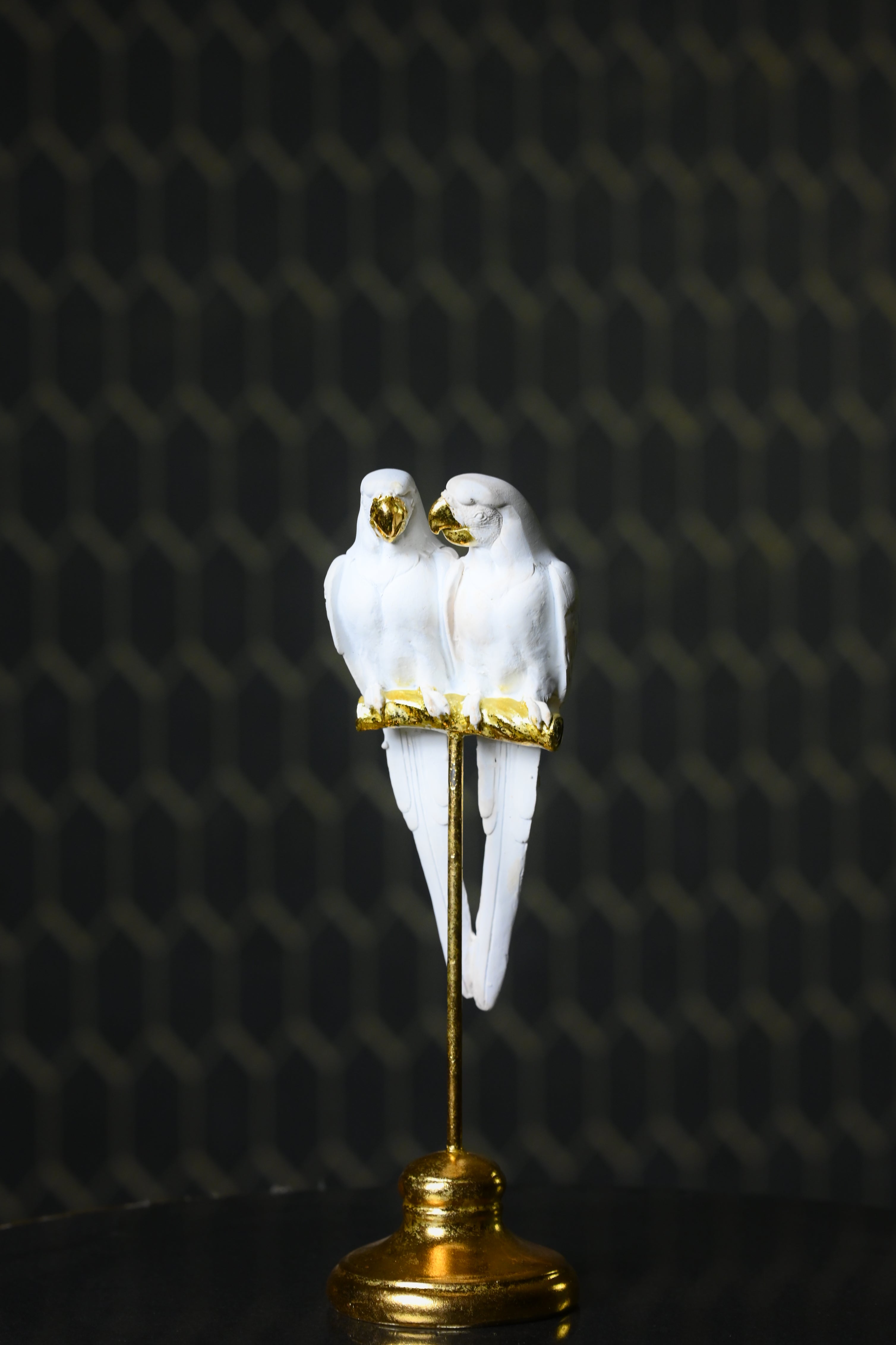 White Cockatoo