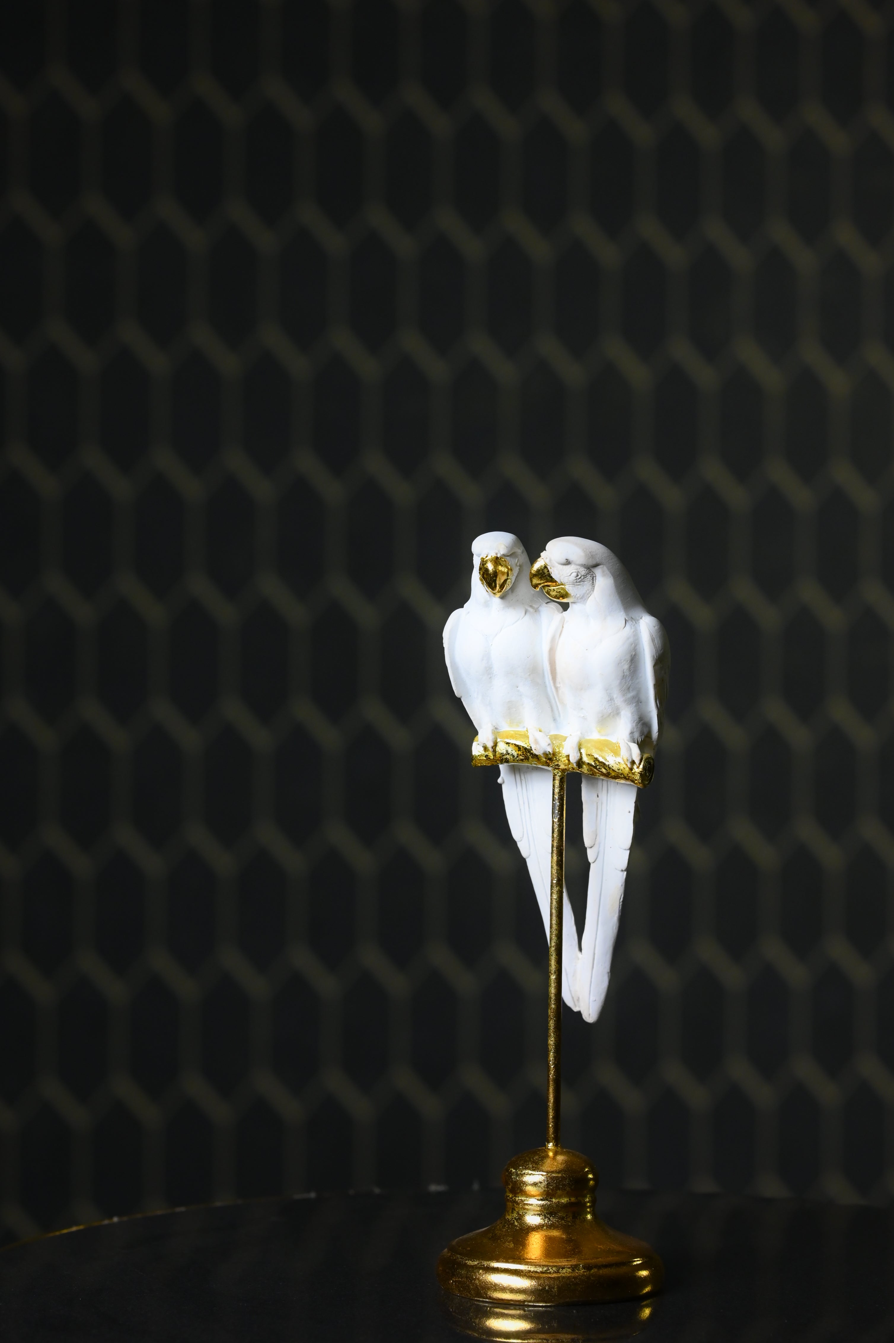 White Cockatoo