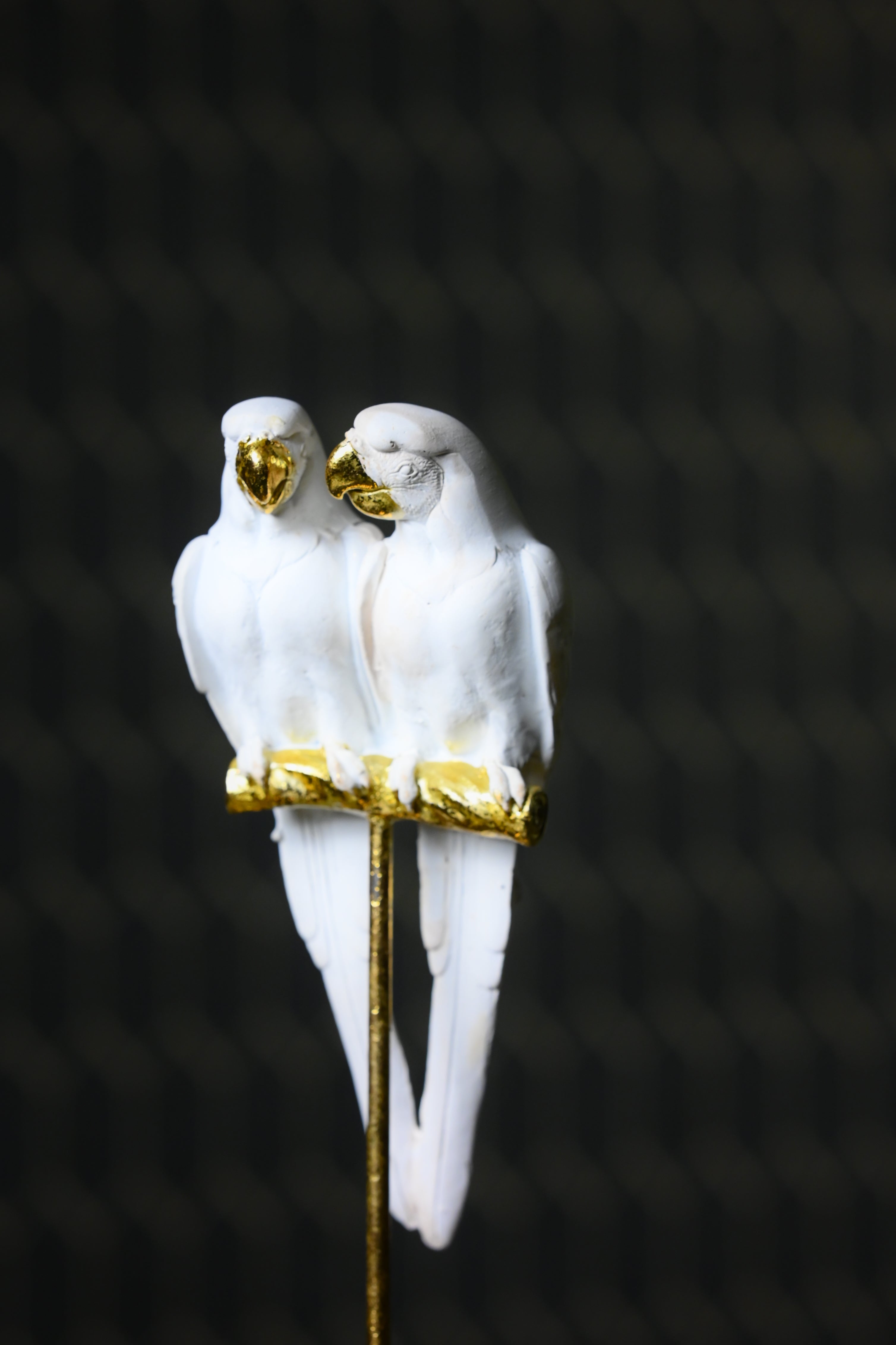 White Cockatoo