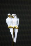 White Cockatoo