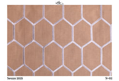 Senzza-2025-02