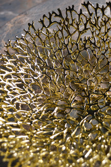 Trellis Dish
