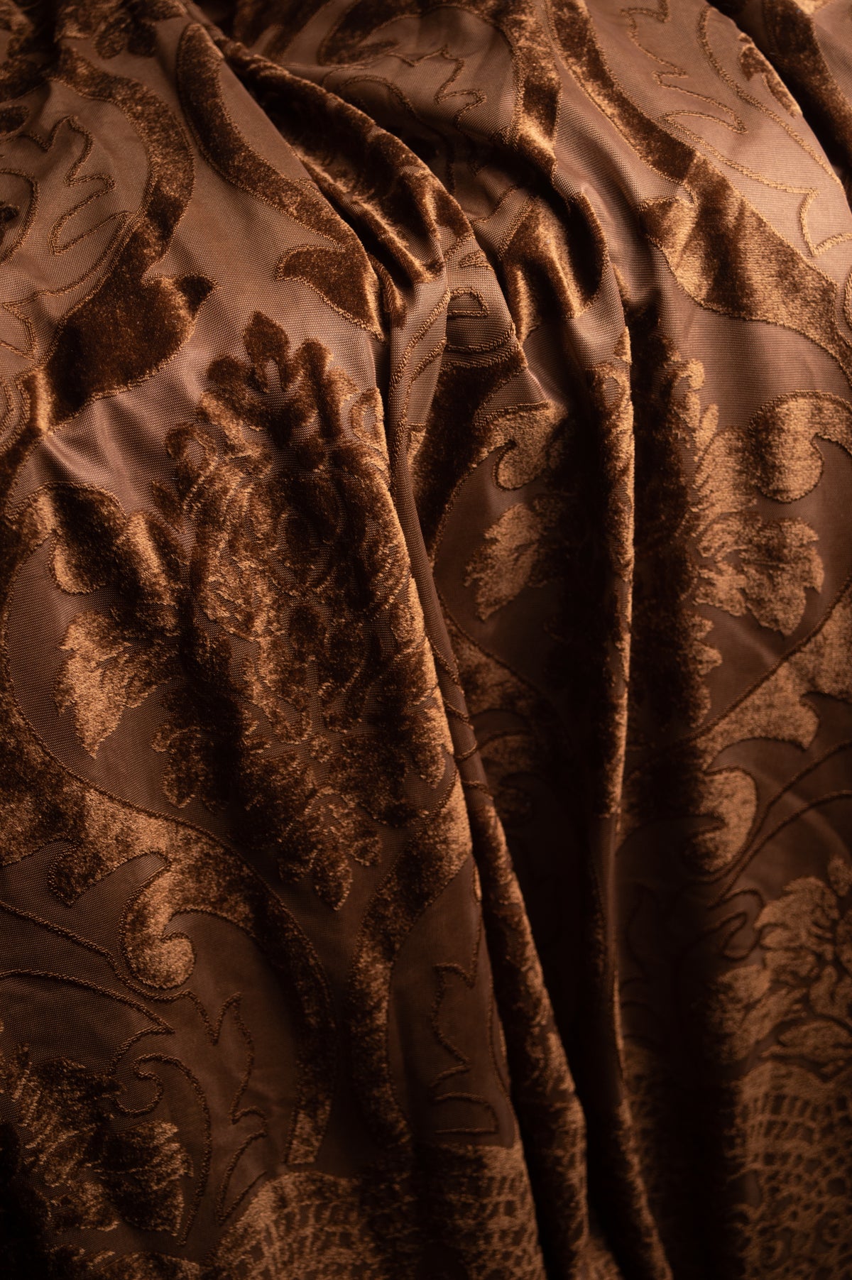 Regal Dream