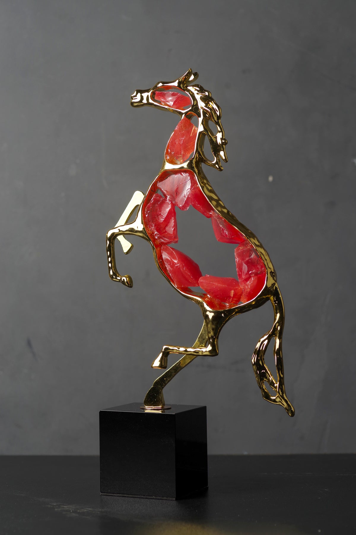 Champion Stallion