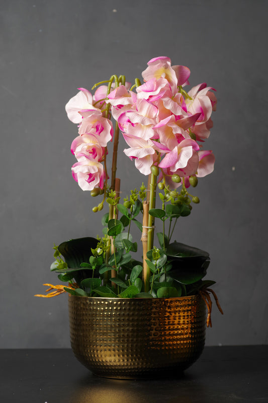 Plants