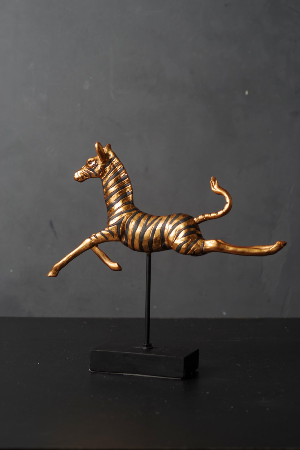 jumping zebra