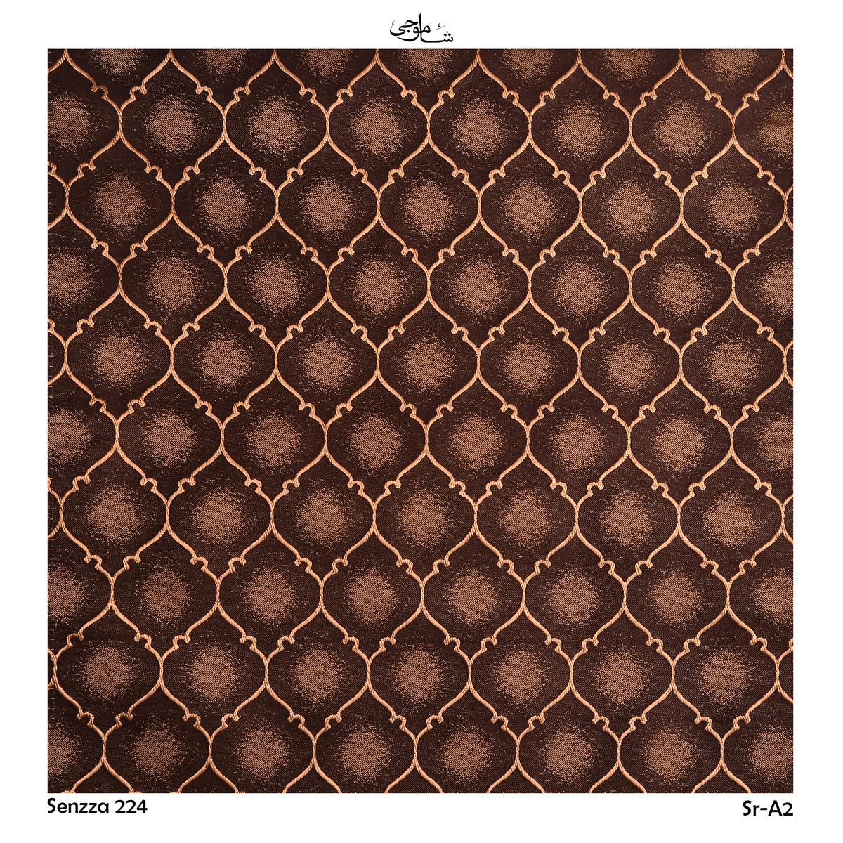 Senzza-224-a02
