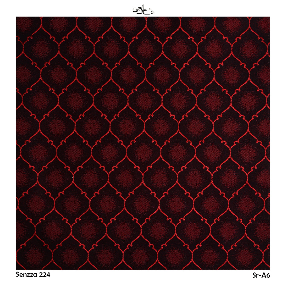 Senzza-224-a06