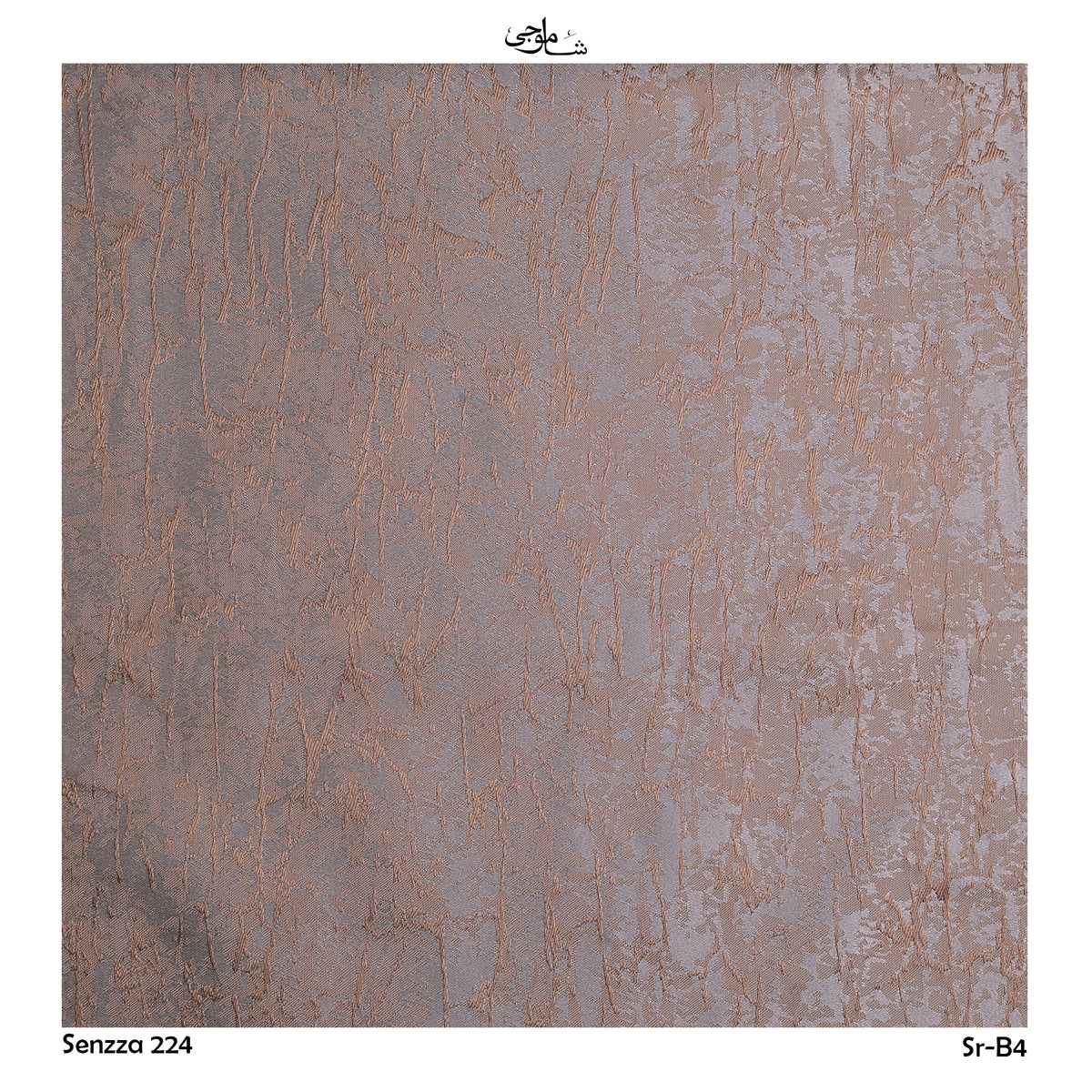 Senzza-224-b04