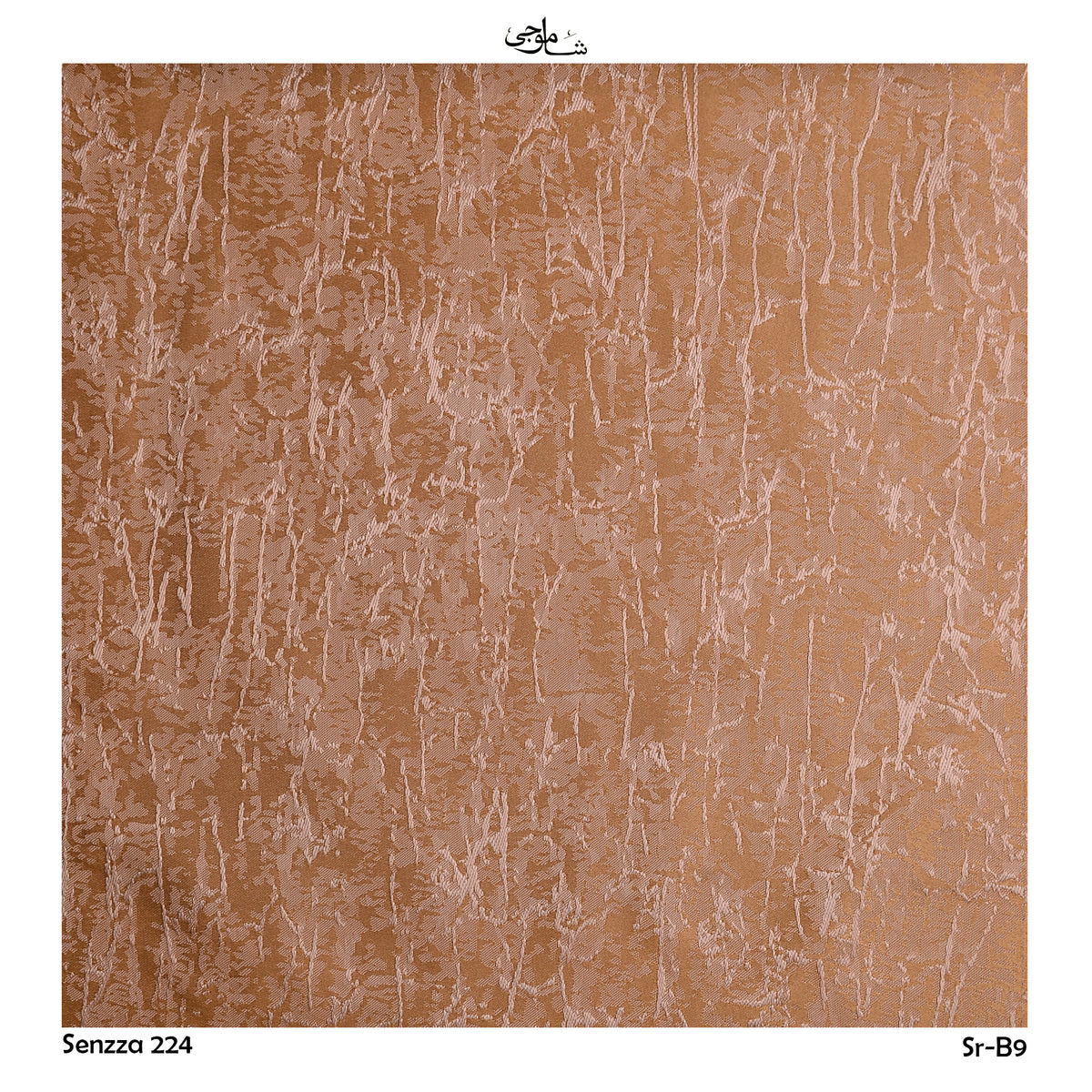 Senzza-224-b09
