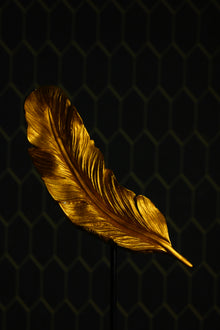 Golden Feather
