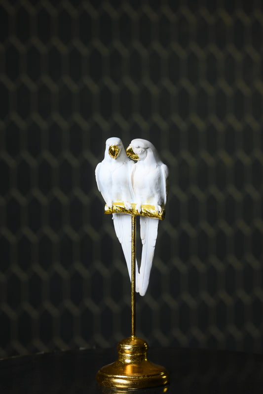 White Cockatoo