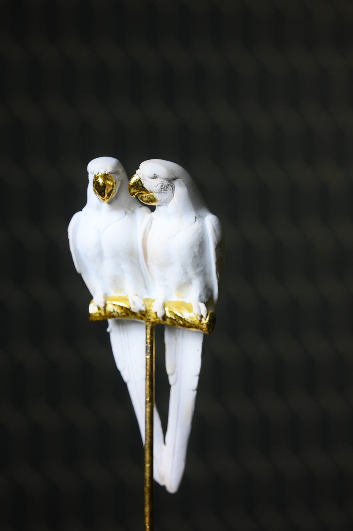 White Cockatoo