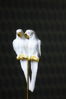 White Cockatoo