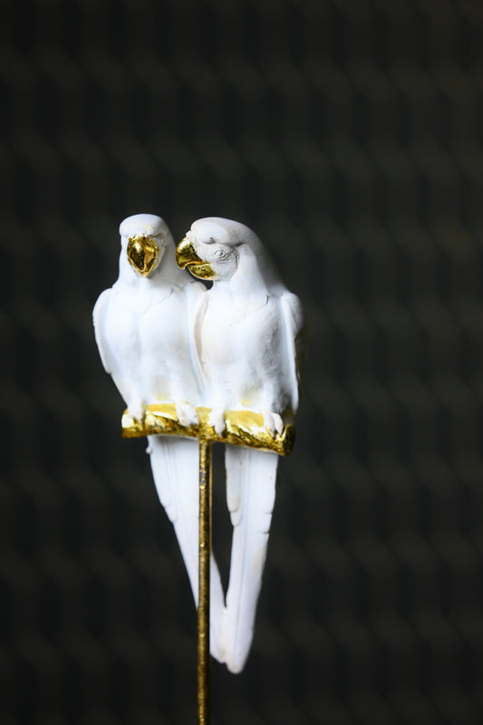 White Cockatoo